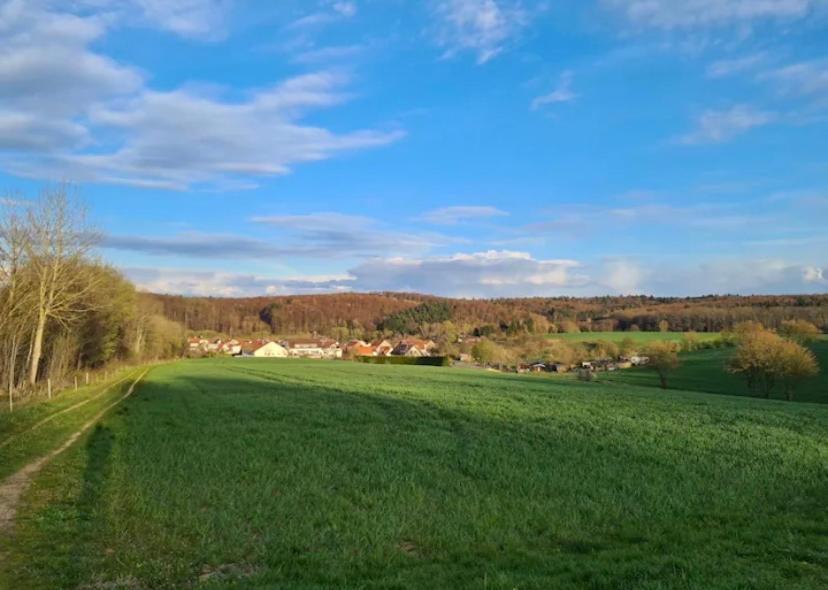 Casa Linda, Luxurioese Im Gruenen Ober-Ramstadt